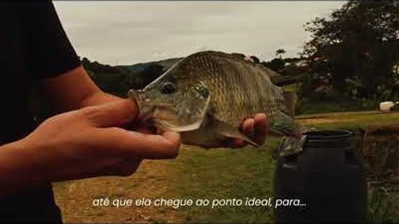 FAZENDA SANTA LÚCIA